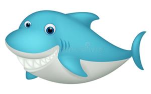 Cute Shark 